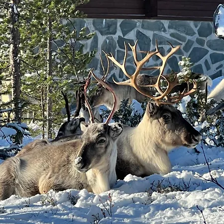 Prázdninový dům Utsuntuisku